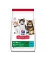 Hills Kitten Ton Balıklı Yavru Kedi Maması 1+500 Gr Hediyeli