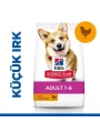 Hills Small & Mini Adult Tavuklu Köpek Maması 6 Kg