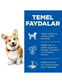 Hills Small & Mini Adult Tavuklu Köpek Maması 6 Kg