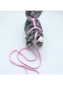 Kedi Düz Göğüs Tasması Ve Gezdirme Seti Ps9640