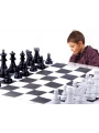 Okullara Özel Satranç Takımı (5047)