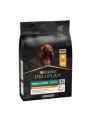 Pro Plan Adult Small Mini Tavuklu Yetişkin Köpek Maması 3 Kg