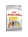 Royal Canin Adult Medium Dermacomfort Yetişkin Köpek Maması 12 Kg