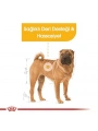 Royal Canin Adult Medium Dermacomfort Yetişkin Köpek Maması 12 Kg