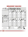 Royal Canin Adult Medium Dermacomfort Yetişkin Köpek Maması 12 Kg