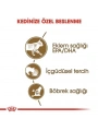 Royal Canin Ageing +12 Gravy Pouch Yaşlı Konserve Kedi Maması 85 Gr