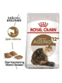Royal Canin Ageing +12 Yaşlı Kedi Maması 2 Kg