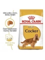 Royal Canin Cocker Adult Yetişkin Köpek Maması 3 Kg