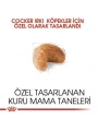 Royal Canin Cocker Adult Yetişkin Köpek Maması 3 Kg