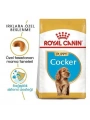 Royal Canin Cocker Junior Yavru Köpek Maması 3 Kg