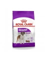 Royal Canin Giant Adult Dev Irk Yetişkin Köpek Maması 15 Kg