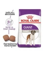 Royal Canin Giant Adult Dev Irk Yetişkin Köpek Maması 15 Kg