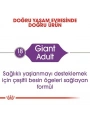 Royal Canin Giant Adult Dev Irk Yetişkin Köpek Maması 15 Kg