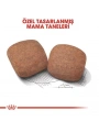 Royal Canin Giant Adult Dev Irk Yetişkin Köpek Maması 15 Kg