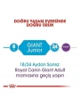 Royal Canin Giant Junior Dev Irk Yavru Köpek Maması 15 Kg