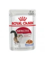 Royal Canin İnstınctive Jelly Pouch Konserve Kedi Maması 85 Gr