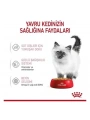 Royal Canin Kitten Jelly Pouch Yavru Konserve Kedi Maması 85 Gr