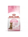 Royal Canin Kitten Sterilised Yavru Kısırlaştırılmış Kedi Maması 2 Kg