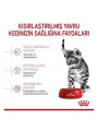 Royal Canin Kitten Sterilised Yavru Kısırlaştırılmış Kedi Maması 2 Kg