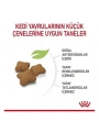 Royal Canin Kitten Sterilised Yavru Kısırlaştırılmış Kedi Maması 2 Kg