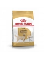 Royal Canin Labrador Retriever Yetişkin Köpek Maması 12 Kg
