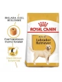 Royal Canin Labrador Retriever Yetişkin Köpek Maması 12 Kg