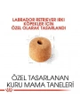 Royal Canin Labrador Retriever Yetişkin Köpek Maması 12 Kg