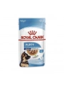 Royal Canin Maxi Puppy Gravy Yavru Konserve Köpek Maması 140 Gr