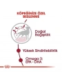 Royal Canin Medium Adult Yetişkin Köpek Maması 15 Kg