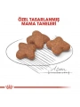 Royal Canin Mini Adult 8+ Küçük Irk Yaşlı Köpek Maması 2 Kg