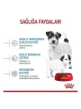 Royal Canin Mini Starter Anne ve Yavru Köpek Maması 4 Kg