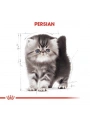 Royal Canin Persian Kitten Yavru İran Kedisi Maması 2 Kg