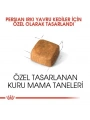 Royal Canin Persian Kitten Yavru İran Kedisi Maması 2 Kg