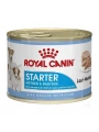 Royal Canin Starter Mousse Yavru Konserve Köpek Maması 195 Gr
