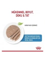 Royal Canin Starter Mousse Yavru Konserve Köpek Maması 195 Gr