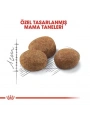 Royal Canin Sterilised 7+ Kısırlaştırılmış Kedi Maması 1.5 Kg
