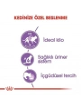 Royal Canin Sterilised Gravy Pouch Kısırlaştırılmış Kedi Maması 85 Gr