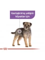 Royal Canin Sterilised Pouch Konserve Köpek Maması 85 Gr