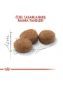 Royal Canin Sterilised Yetişkin Kısırlaştırılmış Kedi Maması 2 Kg