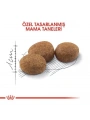 Royal Canin Sterilised Yetişkin Kısırlaştırılmış Kedi Maması 4 Kg