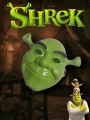 Yeşil Shrek Maskesi 21x25 cm (5047)