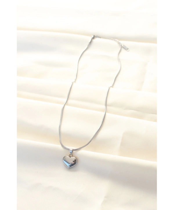 316L Çelik Gümüş Renk Kalp Kolye