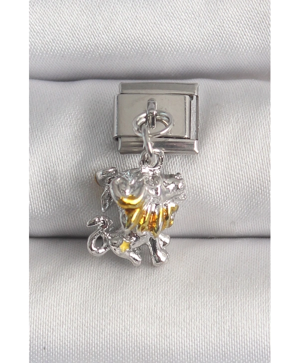 316L Çelik Gümüş Renk Sallantı Aslan Model Nomination Charm