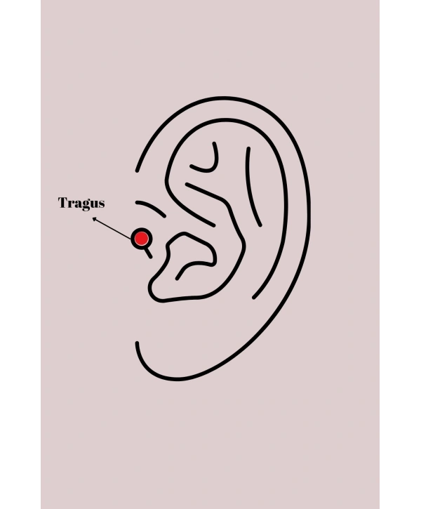 316L Çelik Gümüş Renk Zirkon Taşlı Kurdele Model Tragus Piercing