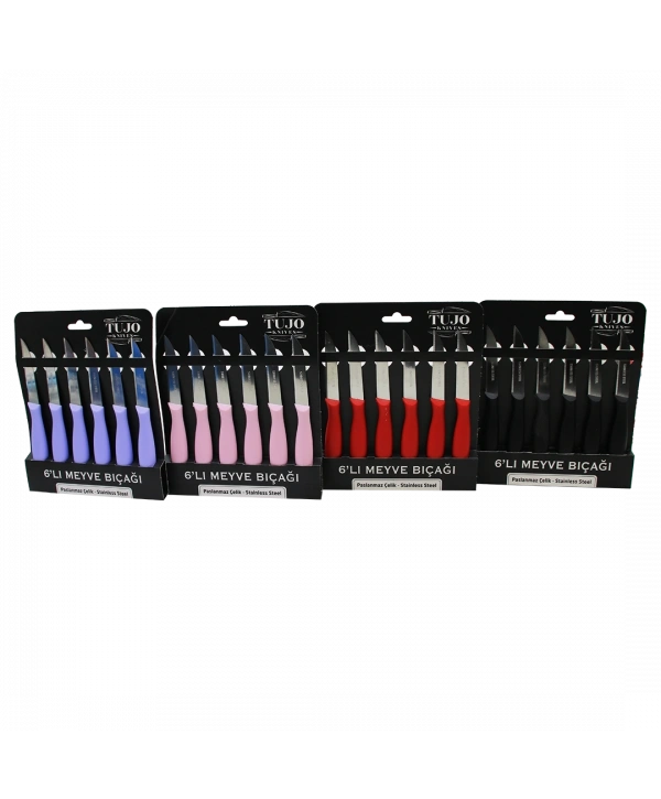 6 PARÇA  MEYVE BIÇAK RENKLİ PLASTİK SAPLI (5047)