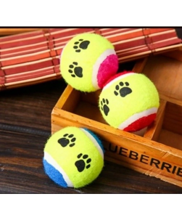 At Getir Köpek Eğitim Topu (5047)