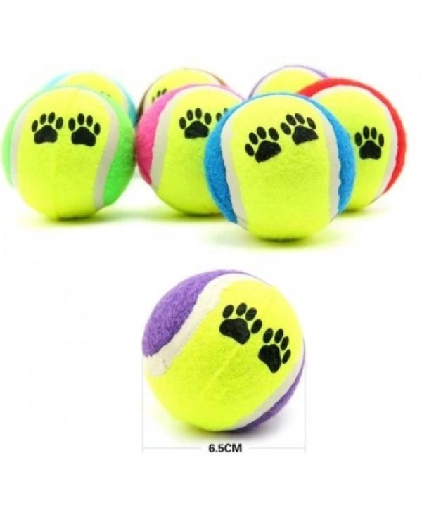 At Getir Köpek Eğitim Topu (5047)