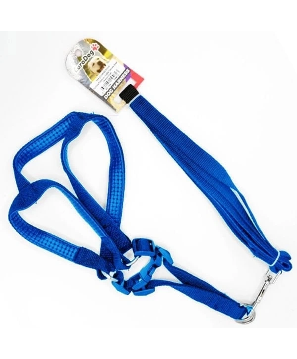 Euro Dog Köpek Uzatma Tasması ve Göğüs Tasması Takımı Mavi 20 Mm 120 Cm