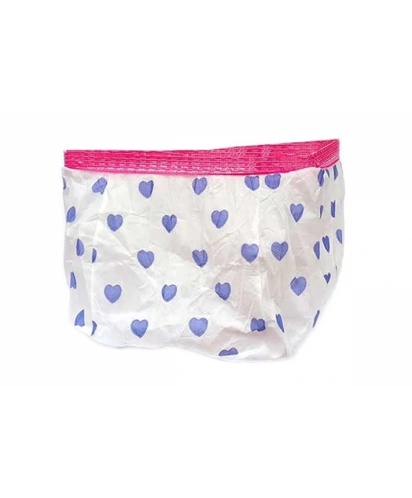 Fit Fly Kapalı Lüx Kuş Kafesi Tülü Medium