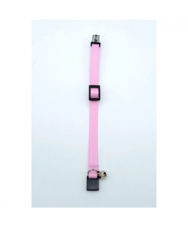 Kedi Düz Boyun Tasması Ps9670